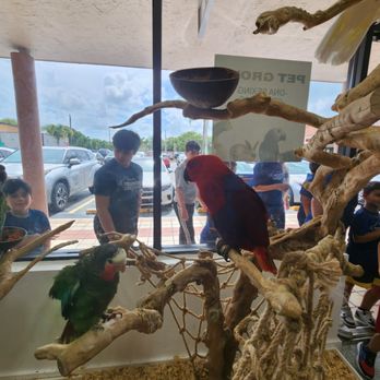 PetGrove - Bird Shops Near Me - Miami, Florida