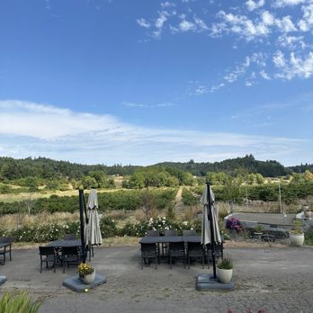 Laurel Ridge Winery - Wineries Near Me - Carlton, Oregon Laurel Ridge Winery - Wineries Near Me - Carlton, Oregon