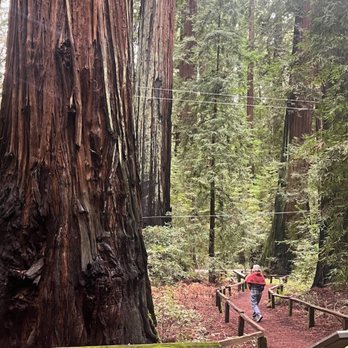 Richardson Grove State Park - Redwood by historic lodge - Parks Near Me - Garberville, California Richardson Grove State Park - Redwood by historic lodge - Parks Near Me - Garberville, California