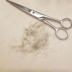 Great Clips
