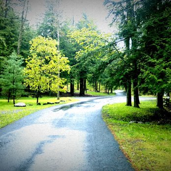Black Moshannon State Park - Picnic Road. - Parks Near Me - Philipsburg, Pennsylvania Black Moshannon State Park - Picnic Road. - Parks Near Me - Philipsburg, Pennsylvania