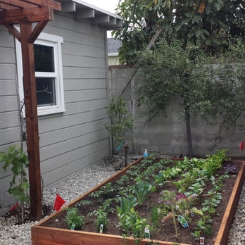 GB Landscaping - Custom built vegetable garden and grape trellis. - Landscaping Near Me