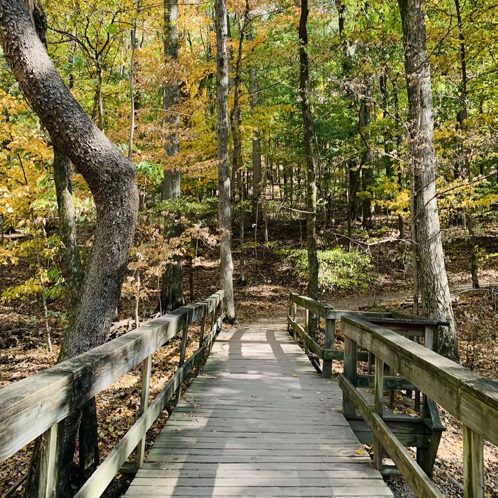Radnor Lake State Park - Bridge - Parks Near Me - Nashville, Tennessee Radnor Lake State Park - Bridge - Parks Near Me - Nashville, Tennessee