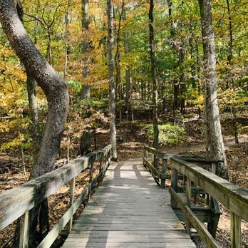 Radnor Lake State Park - Bridge - Parks Near Me - Nashville, Tennessee Radnor Lake State Park - Bridge - Parks Near Me - Nashville, Tennessee