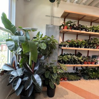 Bellwood Coffee - Inside - Coffee Roasteries Near Me - Atlanta, Georgia