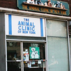 Animal Clinic of New York - Entrance to the clinic