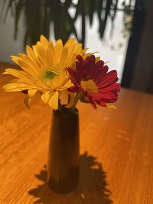 Maya Cocina Mexicana by null