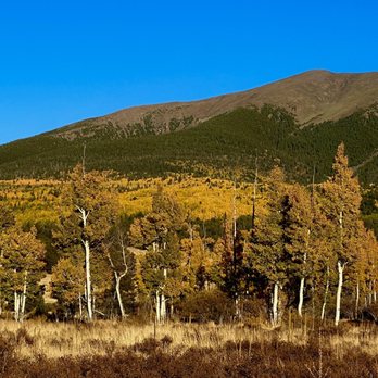 Aspen Nature Loop - Aspens, aspens aspens... - Hiking Near Me - Flagstaff, Arizona Aspen Nature Loop - Aspens, aspens aspens... - Hiking Near Me - Flagstaff, Arizona
