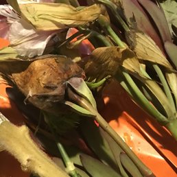 This is what roses looked like minutes after being delivered ....