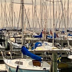 Saltholmen - The marina.