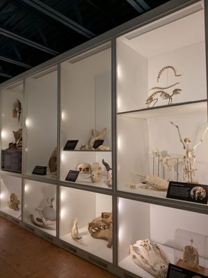 George B. Dorr Museum of Natural History by null