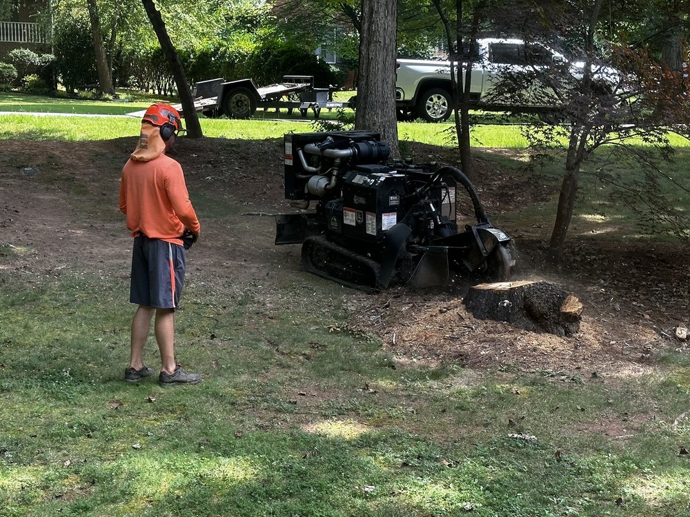 Beaver Tooth Stump Grinding - tree service in Wesley Chapel, NC