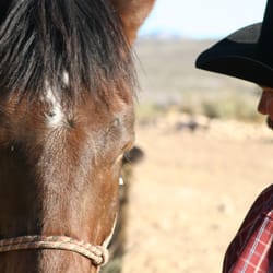 Vegas Horse Tours