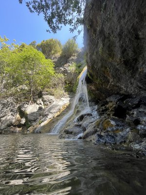 Salmon Creek Falls by null