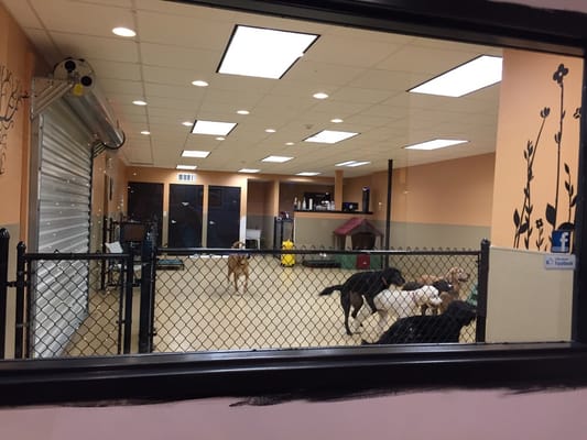 Happy Dog Inn HAPPY DOG HOTEL & SPA - Updated June 2026 - 20 Photos & 54 Reviews ...