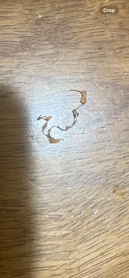 Fiamma Italian Grill by null