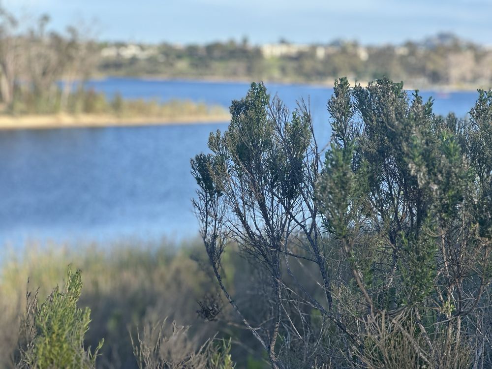 Social spots from Lake Murray