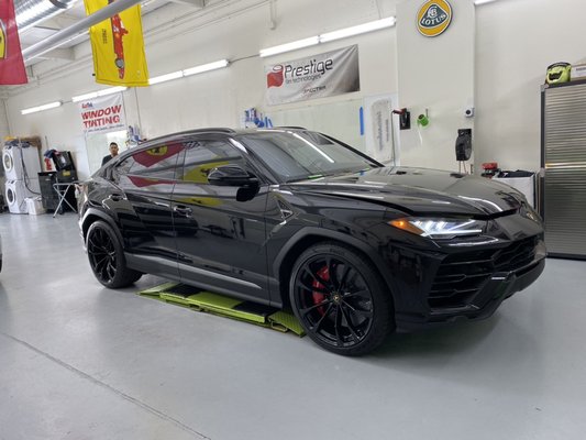 Photo of Cactus Window Tinting - Scottsdale, AZ, US. Lamo Uris in for the works!