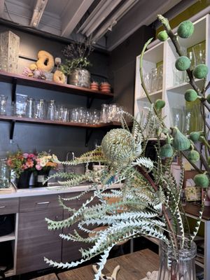 Wildflower & Fern by null