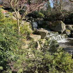 Kyoto Garden in Holland Park
