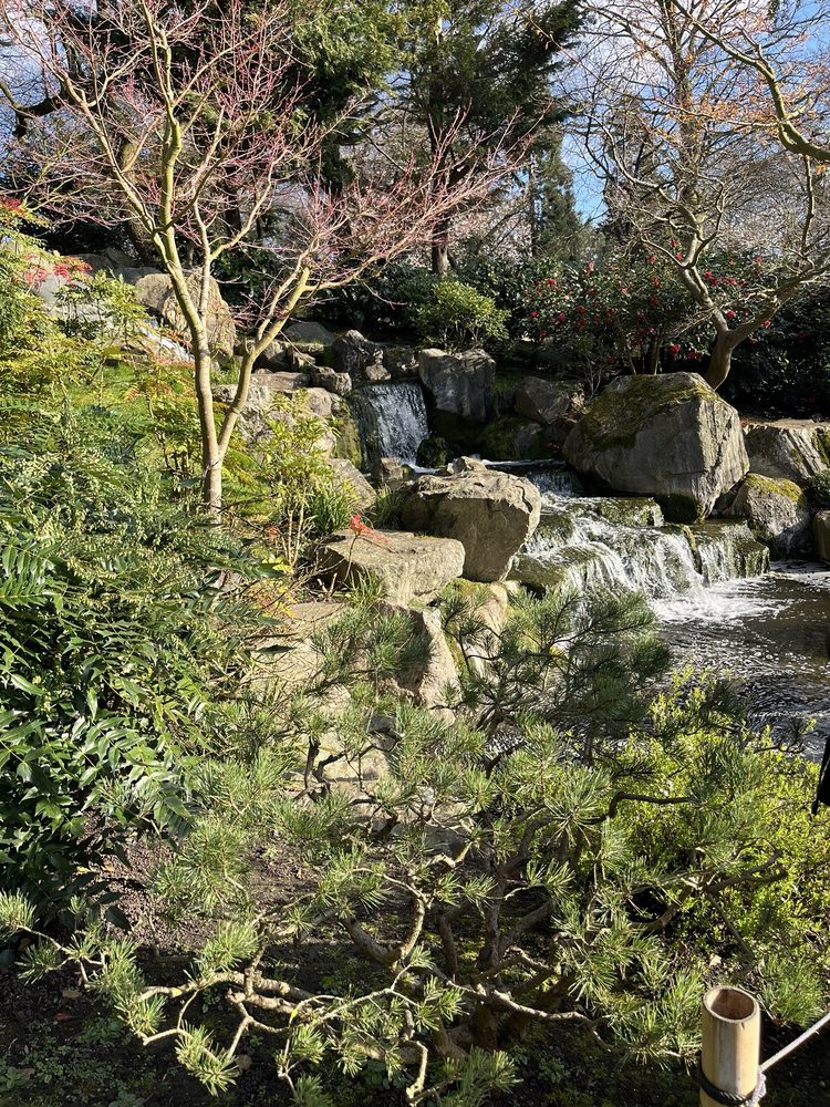 Kyoto Garden in Holland Park