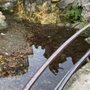 Photo of Tritonenbrunnen