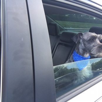 Fabulous Pets - Pet Groomers Near Me - Miramar, Florida