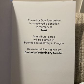 Berkeley Veterinary Center - Veterinarians Near Me - Berkeley Township, New Jersey Berkeley Veterinary Center - Veterinarians Near Me - Berkeley Township, New Jersey