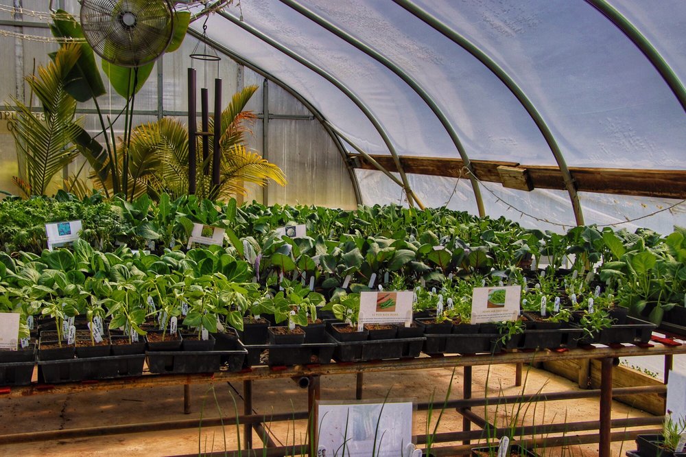 HERITAGE PRAIRIE FARM 322 Photos & 74 Reviews 2N308 Brundige Rd