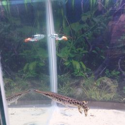 Gar is happy! Gar is happy!