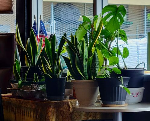 Chang Thai Cuisine by null