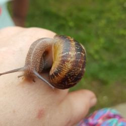 Little Angels Preschool - The day we had a visitor and it changed into a nature class