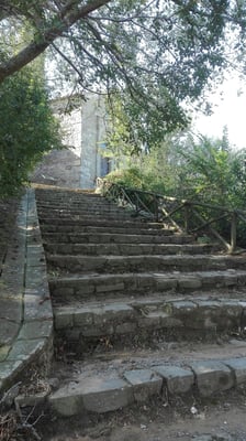 Isola Maggiore by null
