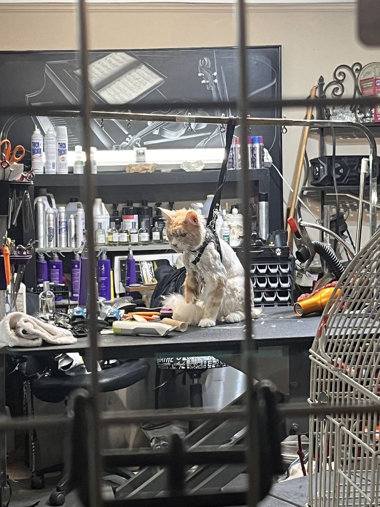 GROOMING BY DAWN CHERI Updated September 2024 26 Photos & 22