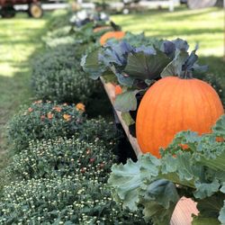 Richard's Farm To Table - All things fall