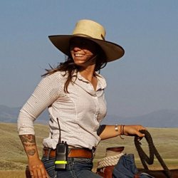 Yellowstone Roughriders