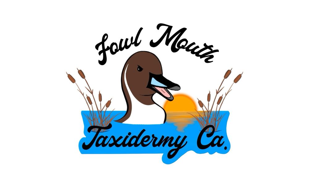 Fowl Mouth Taxidermy - taxidermy in Tracy, CA