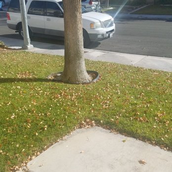 Ruben's Lawn Service - Landscaping Near Me - Las Vegas, Nevada Ruben's Lawn Service - Landscaping Near Me - Las Vegas, Nevada