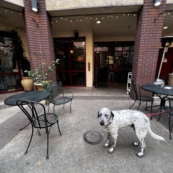 Pachamama Coffee - Outdoor seating area - Cafes Near Me - Placerville, California Pachamama Coffee - Outdoor seating area - Cafes Near Me - Placerville, California