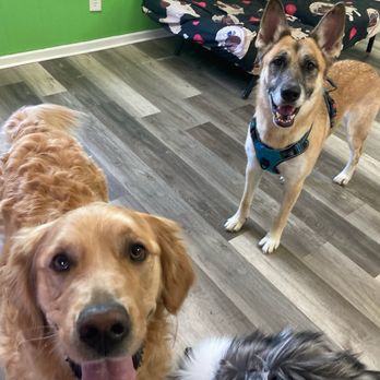 Peace Love & Pets - Pet Groomers Near Me - Chagrin Falls, Ohio Peace Love & Pets - Pet Groomers Near Me - Chagrin Falls, Ohio