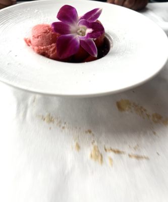 Bleu Restaurant by null