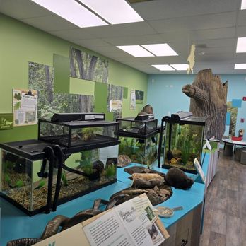 Springbrook Nature Center - Arts & Entertainment Near Me - Itasca, Illinois Springbrook Nature Center - Arts & Entertainment Near Me - Itasca, Illinois