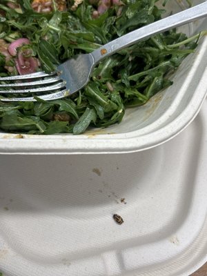 sweetgreen by null