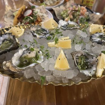 El Viejon Seafood - Tacos - Tequilla - HH Oysters - Seafood Near Me - San Diego, California El Viejon Seafood - Tacos - Tequilla - HH Oysters - Seafood Near Me - San Diego, California