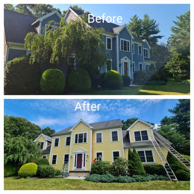 Painting - Interior and Exterior Painting