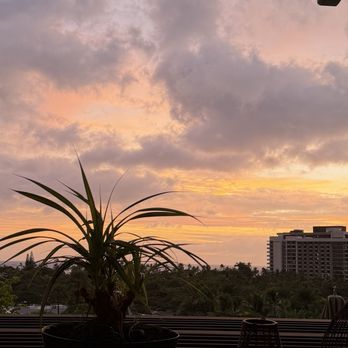 Solera - Breakfast & Brunch Near Me - Honolulu, Hawaii Solera - Breakfast & Brunch Near Me - Honolulu, Hawaii