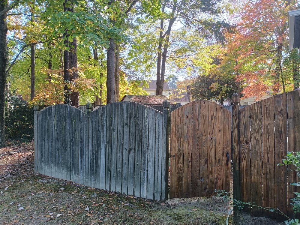 Slide of Whistling Ladders