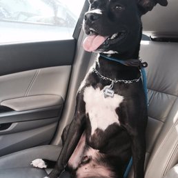 His face says it all for his experience at four paws.