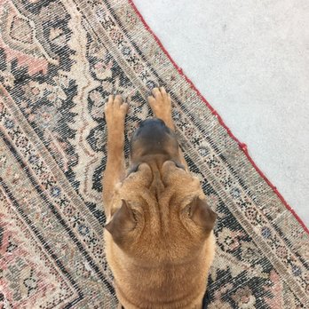 Janessa Leone - Dog friendly! - Accessories Near Me - Culver City, California Janessa Leone - Dog friendly! - Accessories Near Me - Culver City, California