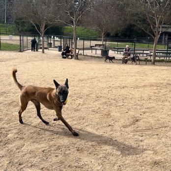 University Dog Park - Dog Parks Near Me - Sacramento, California University Dog Park - Dog Parks Near Me - Sacramento, California